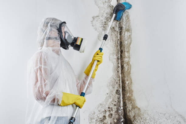 Carpet water damage restoration in Waterman, IL